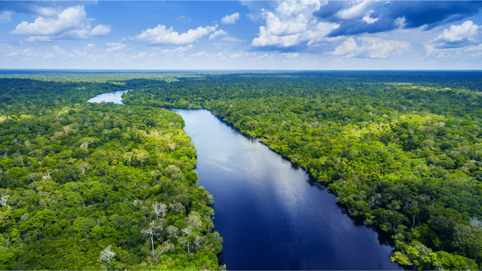 Sustainability reducing our CO2 with projects in the Amazon