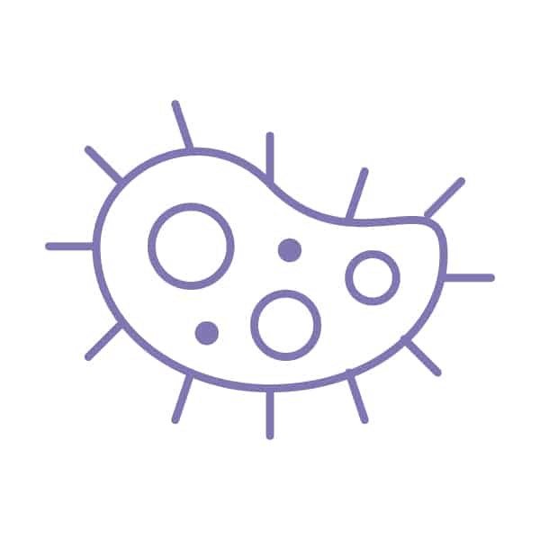 Purple Bacteria Icon: UVent ultraviolet air purifier