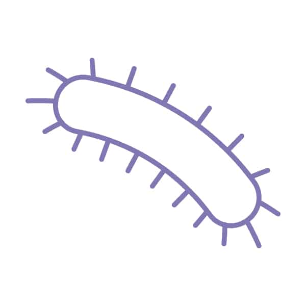 Purple Dust Mite Allegens Icon: UVent uv air steriliser