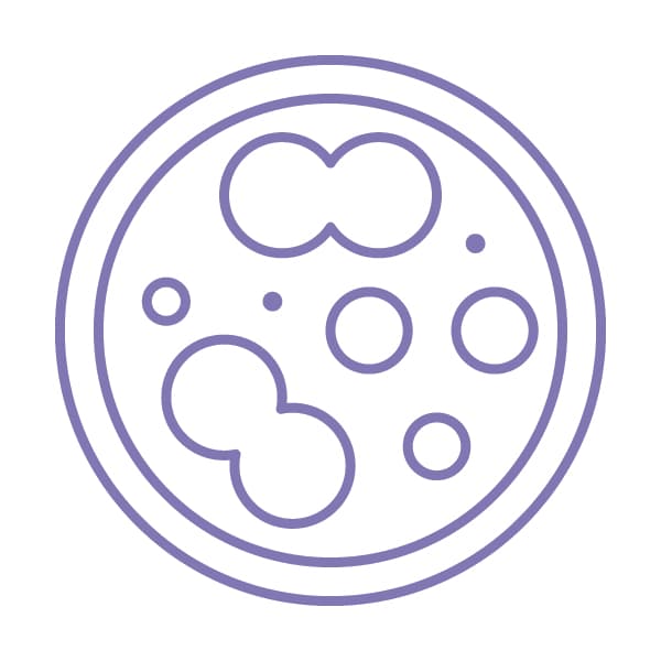 Purple Spores Icon: UVent commercial uv air Steriliser